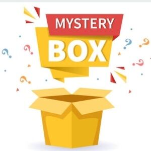 Grab Bag Mystery Box Women’s Clothing Size Small Medium Large 4 Items Bargain